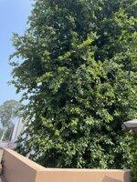 IMG_6493.jpeg IMG_6493.jpeg