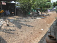 DSCN0525.JPG