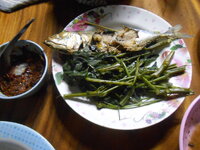 DSCN9557.JPG