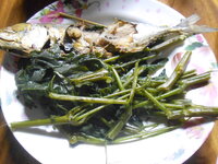 DSCN9558.JPG