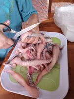 IMG_20240501_131146_991.jpg