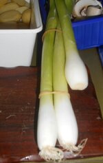 IMG_20200628_071046.jpg