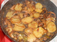 DSCN8531.JPG