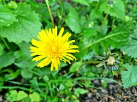 20240502_092717.jpg