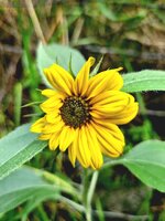 20231005_092929.jpg