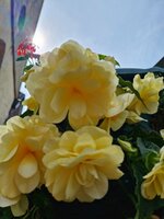 20240506_123920.jpg