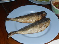 DSCN8394.JPG