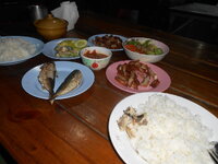 DSCN8397.JPG