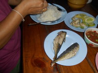 DSCN8396.JPG