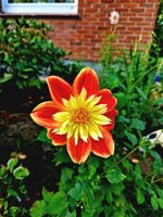 20231006_100732.jpg
