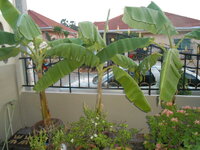 DSCN8563.JPG
