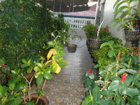 DSCN8565.JPG
