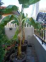 DSCN8562.JPG