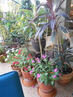 DSCN8561.JPG