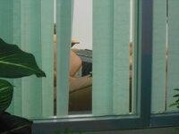 DSCN8570.JPG