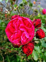 20231114_082634.jpg