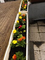 IMG_20240525_132950_047~2.jpg