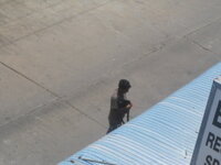 DSCN8528.JPG