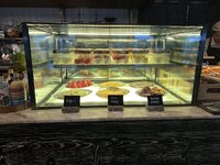 IMG_7125.jpeg