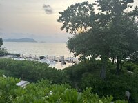 IMG_7098.jpeg