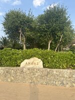 IMG_7085.jpeg