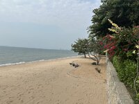 IMG_7062.jpeg