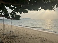 IMG_7087.jpeg