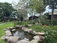 IMG_7059.jpeg
