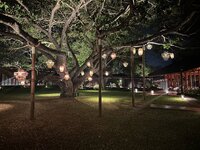 IMG_7116.jpeg