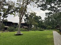 IMG_7144.jpeg