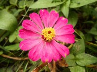 DSCN8376~2.JPG