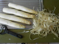 DSCN8533.JPG