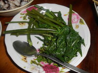 DSCN8510.JPG