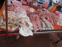 DSCN8890.JPG
