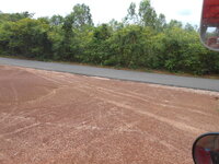DSCN9007.JPG