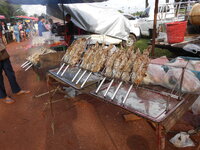 DSCN9113.JPG