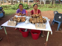 DSCN9117.JPG