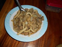 DSCN9069.JPG