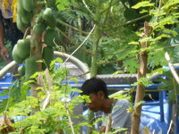 DSCN9172.JPG