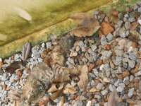 DSCN9165.JPG