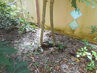 DSCN9162.JPG