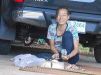 DSCN9237.JPG