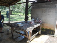 DSCN9263.JPG