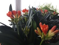 IMG_20240311_142018_381.jpg