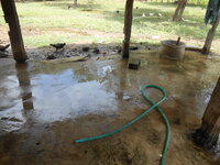 DSCN9275.JPG