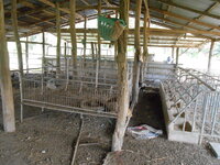 DSCN9284.JPG