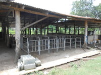 DSCN9283.JPG