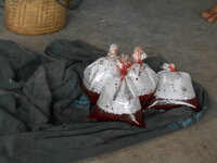 DSCN9277.JPG