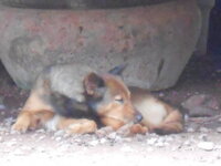 DSCN9300.JPG