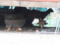 DSCN9298.JPG
